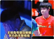 开云官方app入口-关于法国乒乓球队绝地反击奥地利乒乓球队，王皓爆发神勇的信息