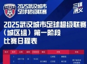 开云平台-关于超级联赛球队的战绩总结报道的信息